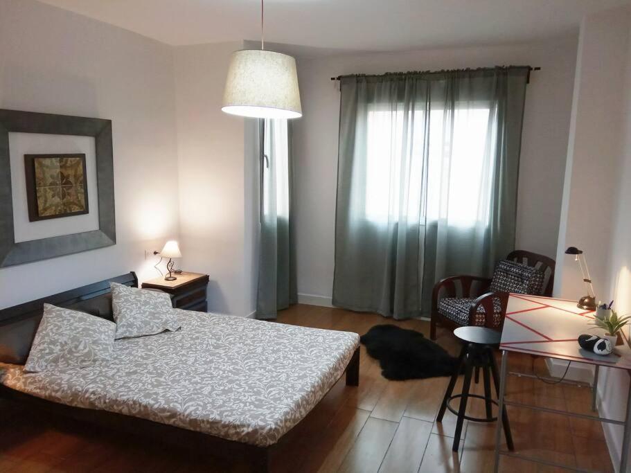 Ideal Apartamento Para Familia Con Wifi サグント エクステリア 写真